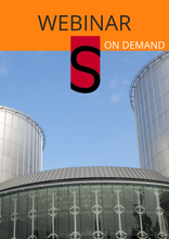 Afbeelding in Gallery-weergave laden, Procederen voor het EHRM - Wegwijs in Straatsburg