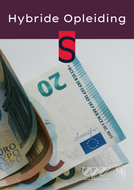 De minnelijke schuldbemiddeling volgens boek XIX WER - 30/01/2026